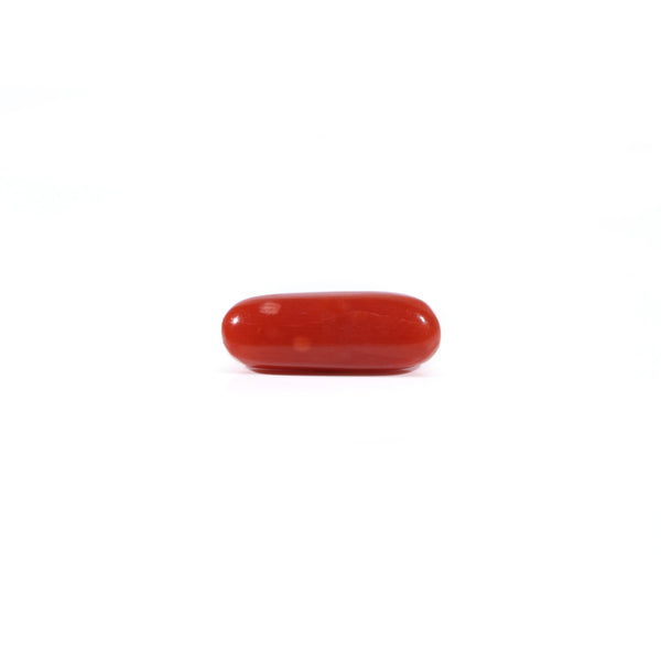 Red Coral - Moonga - 3.37 Carat - Pramogh