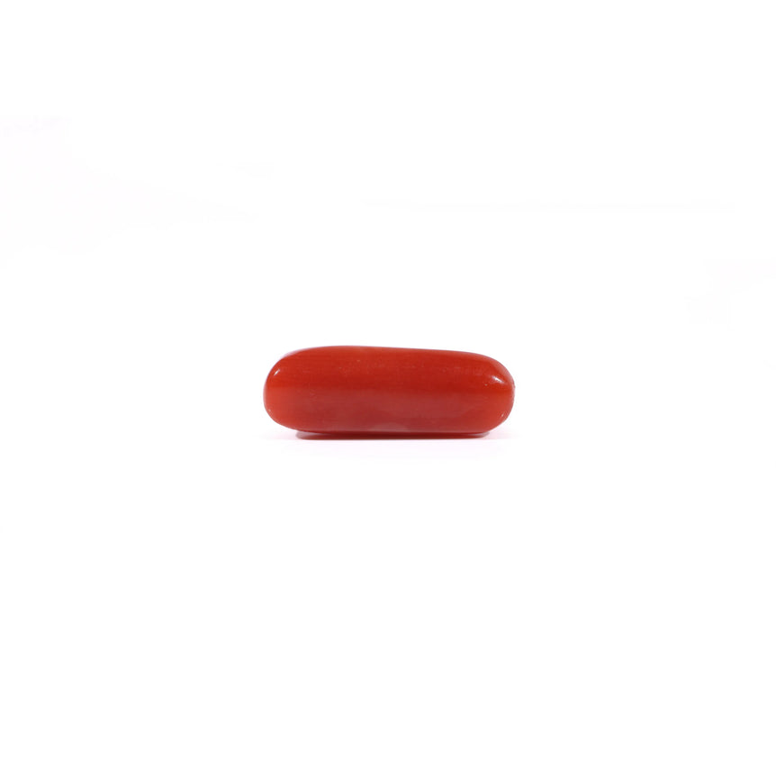 Red Coral - 3.37 Carat