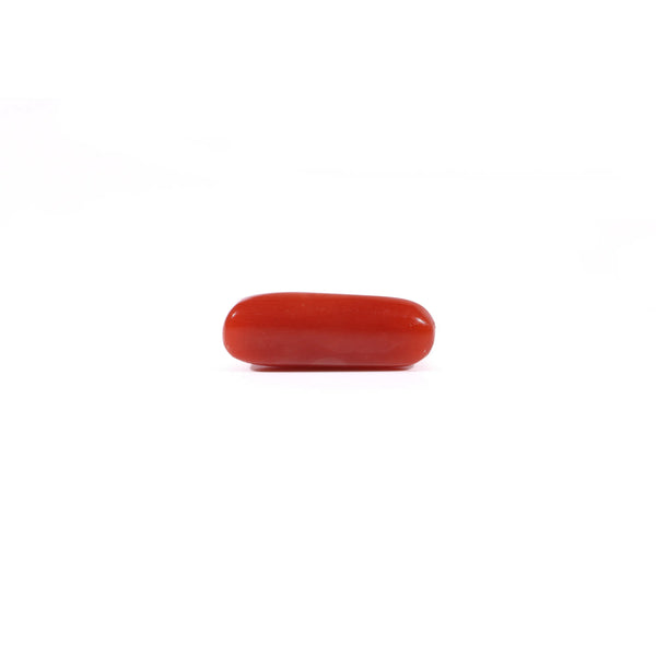 Red Coral - 3.37 Carat