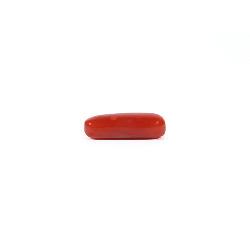 Red Coral - 3.37 Carat