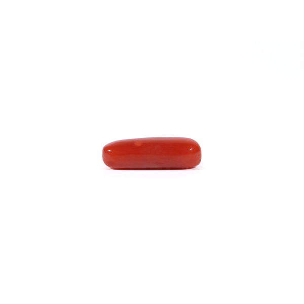 Red Coral - 3.37 Carat