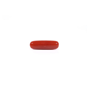 Red Coral - Moonga - 3.37 Carat - Pramogh