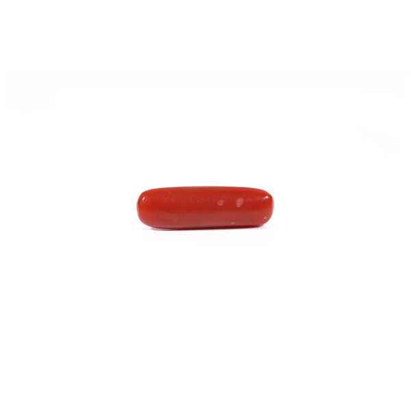 Red Coral - 3.37 Carat