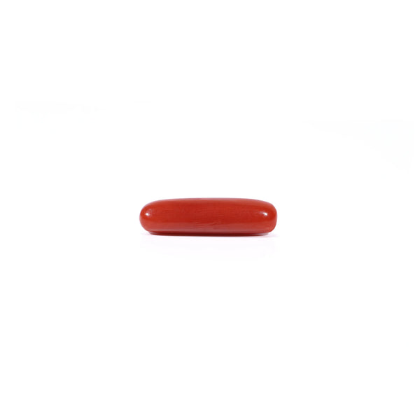 Red Coral - 3.37 Carat