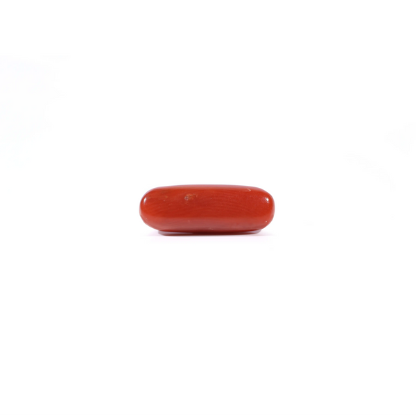 Red Coral - 3.29 Carat