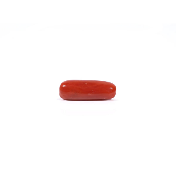Red Coral - 3.29 Carat