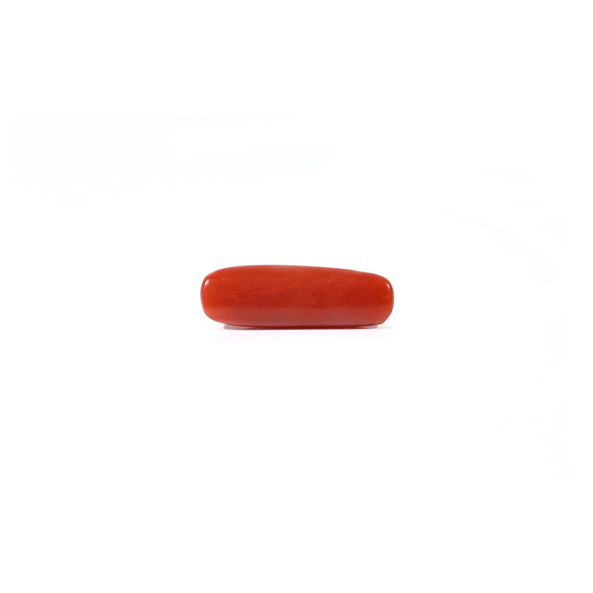 Red Coral - 3.75 Carat