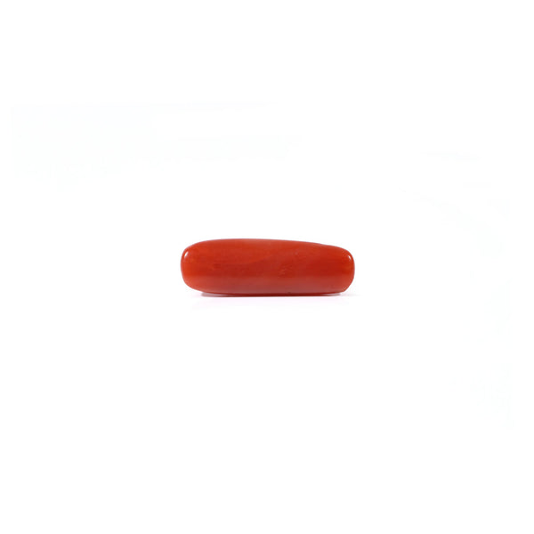 Red Coral - 3.75 Carat