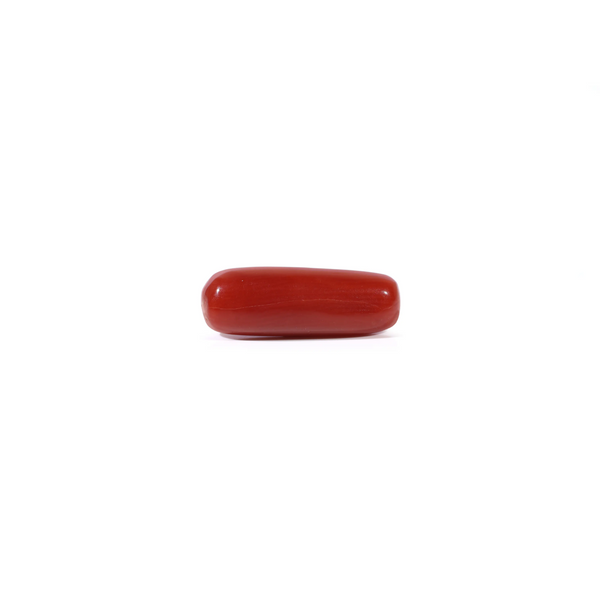 Red Coral - Moonga - 3.1 Carat - Pramogh