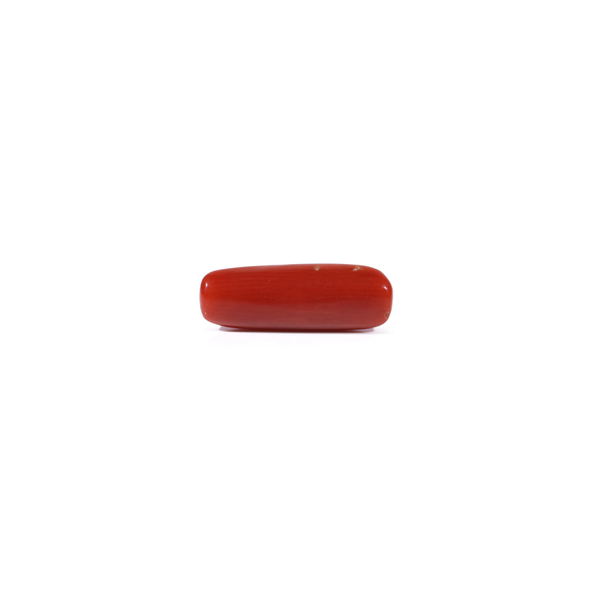 Red Coral - 3.1 Carat