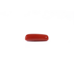 Red Coral - 3.1 Carat