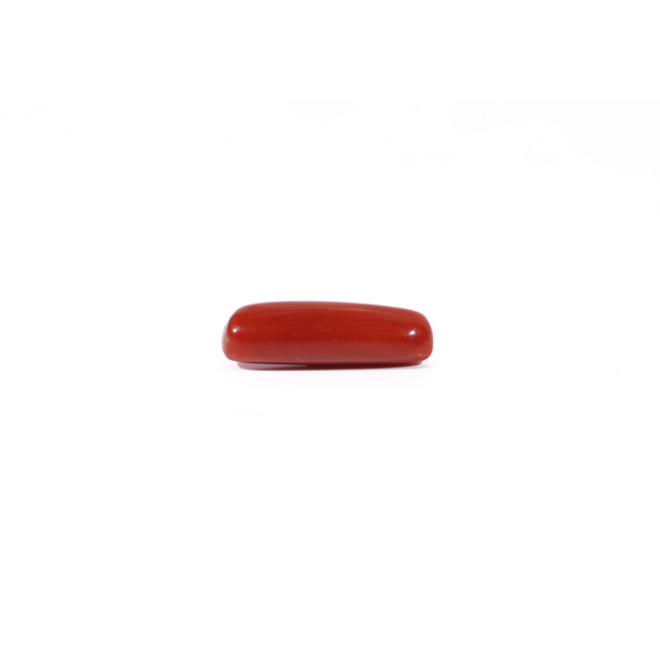 Red Coral - 3.1 Carat