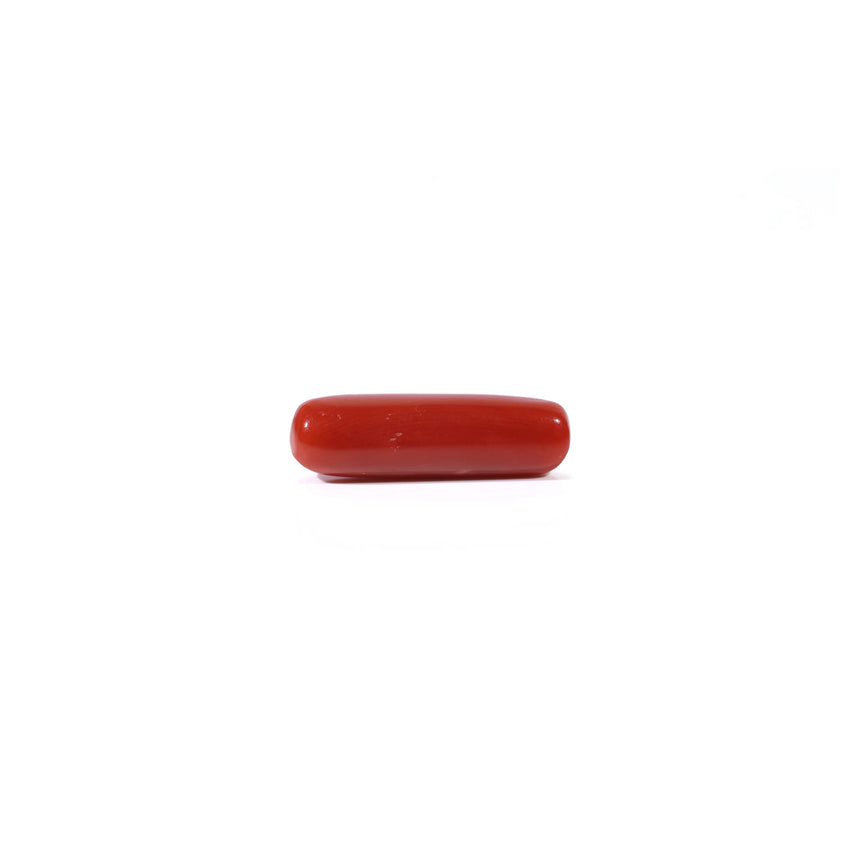 Red Coral - 4.2 Carat