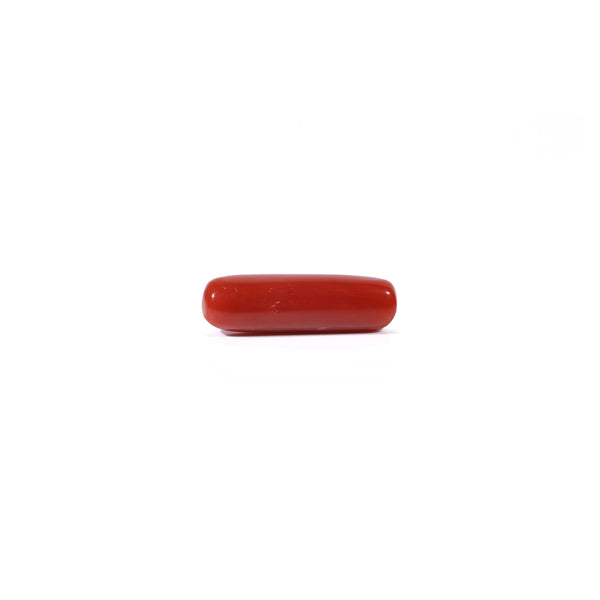 Red Coral - 4.2 Carat