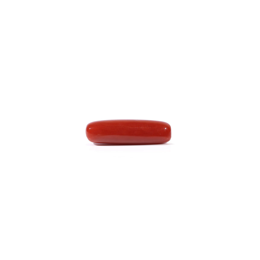 Red Coral - 4.2 Carat