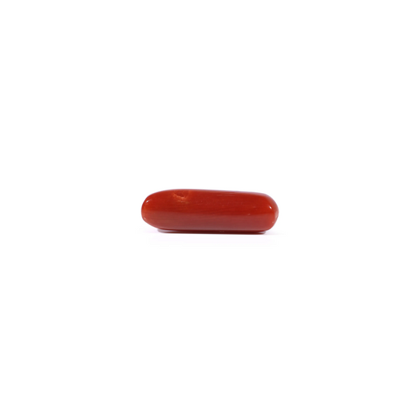 Red Coral - 4.3 Carat