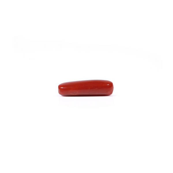 Red Coral - 4.3 Carat