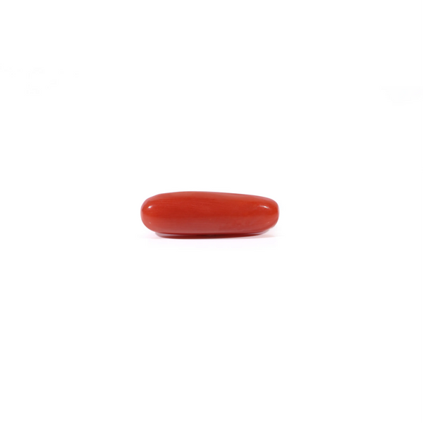 Red Coral - Moonga - 3.2 Carat - Pramogh