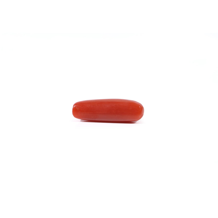 Red Coral - 3.2 Carat