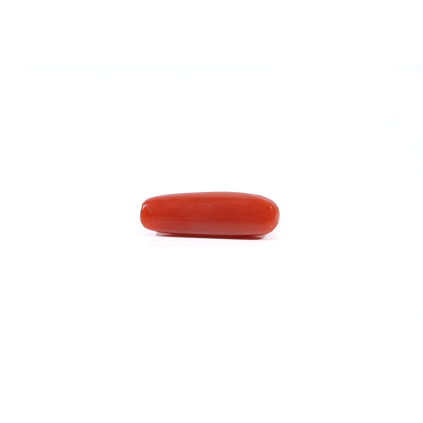 Red Coral - 3.2 Carat