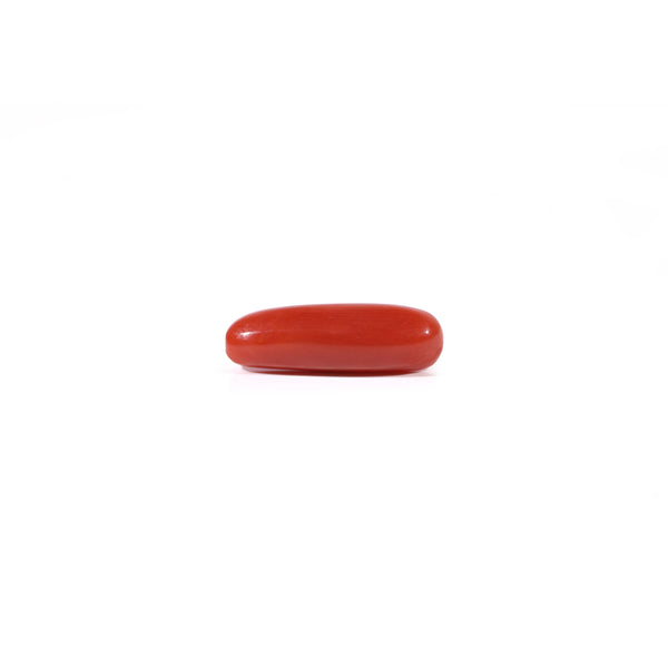 Red Coral - 3.2 Carat