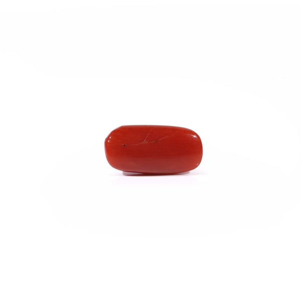 Red Coral - 2.55 Carat