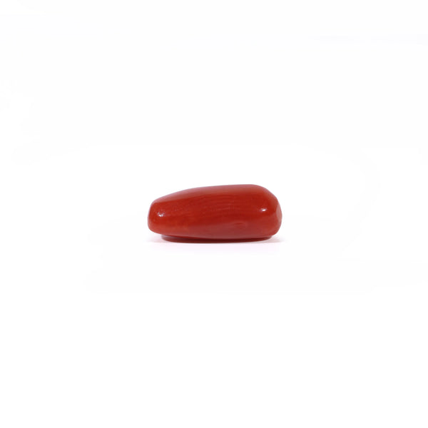 Red Coral - 2.55 Carat