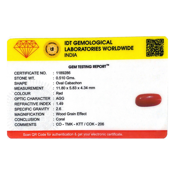 Red Coral - 2.55 Carat