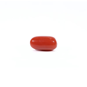 Red Coral - Moonga - 2.65 Carat - Pramogh