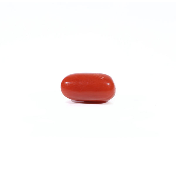 Red Coral - Moonga - 2.65 Carat - Pramogh
