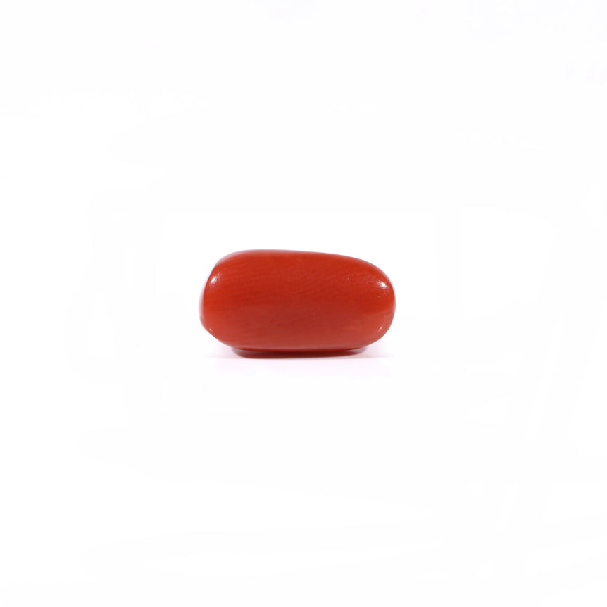Red Coral - 2.65 Carat
