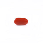 Red Coral - 2.65 Carat