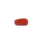 Red Coral - 2.65 Carat