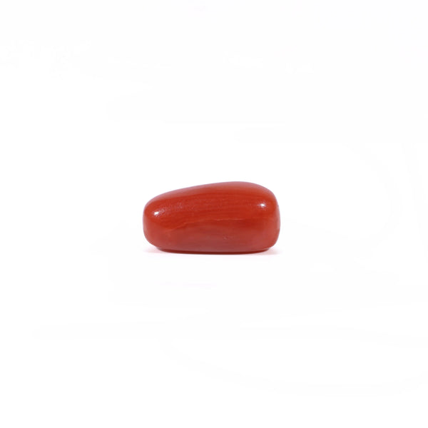 Red Coral - 2.65 Carat