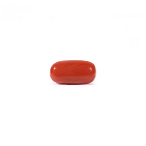 Red Coral - Moonga - 2.4 Carat - Pramogh