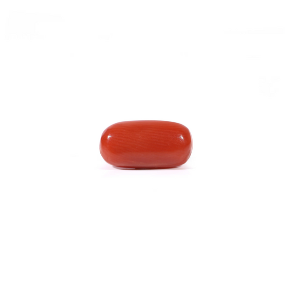 Red Coral - Moonga - 2.4 Carat - Pramogh