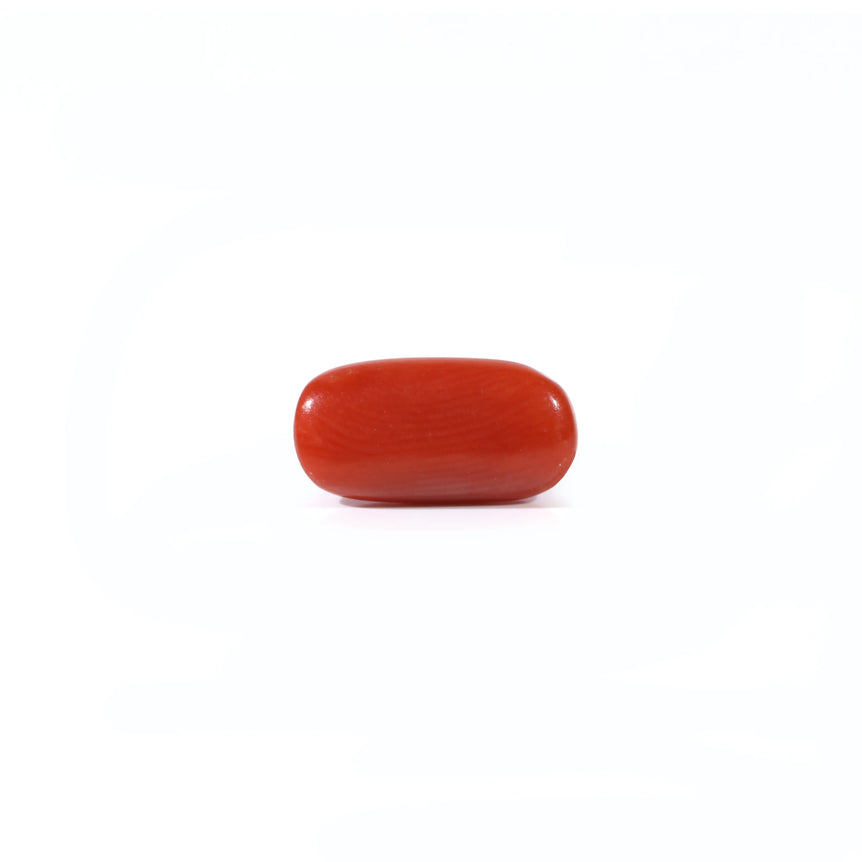 Red Coral - 2.4 Carat