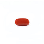Red Coral - 2.4 Carat