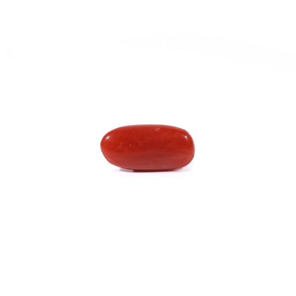 Red Coral - 2.23 Carat