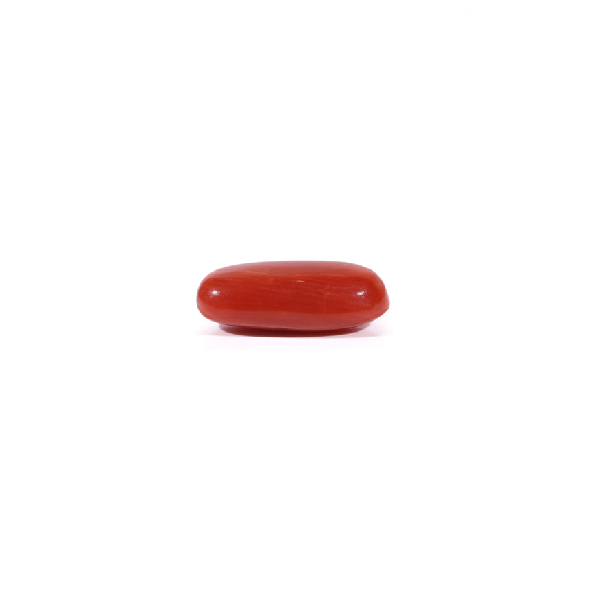 Red Coral - 2.23 Carat