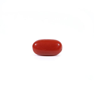 Red Coral - Moonga - 2.5 Carat - Pramogh