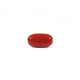 Red Coral - Moonga - 2.5 Carat - Pramogh