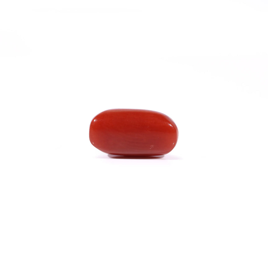 Red Coral - 2.5 Carat