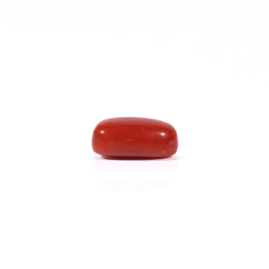 Red Coral - 2.5 Carat