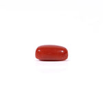 Red Coral - 2.5 Carat
