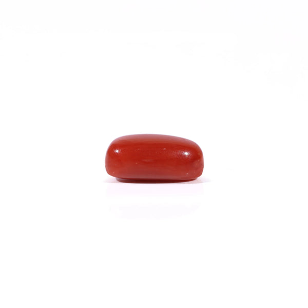 Red Coral - 2.5 Carat