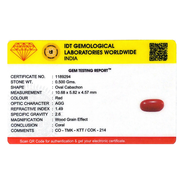 Red Coral - 2.5 Carat