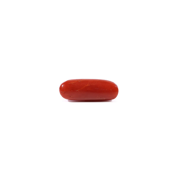 Red Coral - 3 Carat