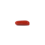 Red Coral - 3 Carat