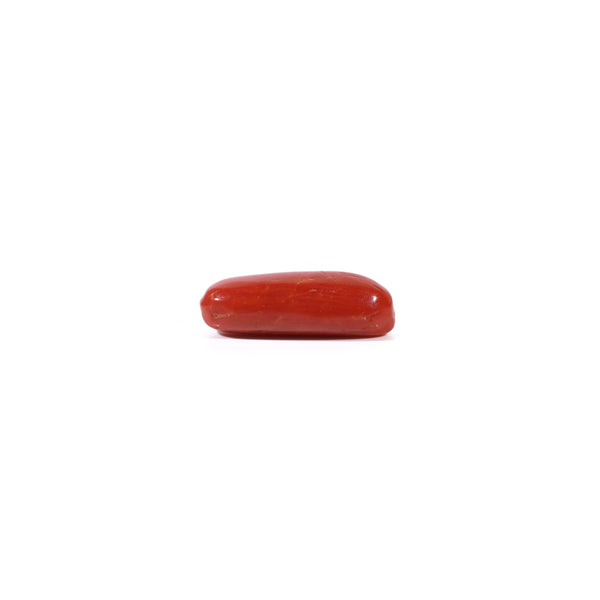 Red Coral - 3 Carat